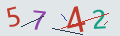 verifycode